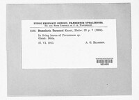 Image Associated With the Occurence